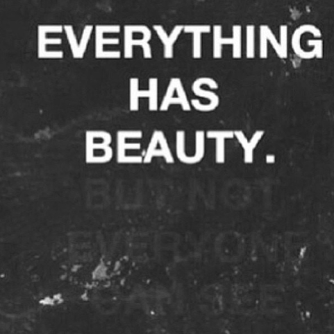 Image result for everything has beauty quotes